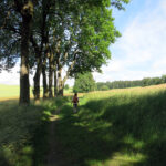1607_bad steben-w1_01