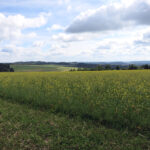 1607_bad steben-w1_04
