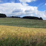 1607_bad steben-w1_05