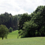1607_bad steben-w1_06