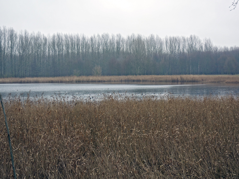 Bildergalerie „Naturschutzgebiet Karower Teiche“ Seniorenbeirat Telekom