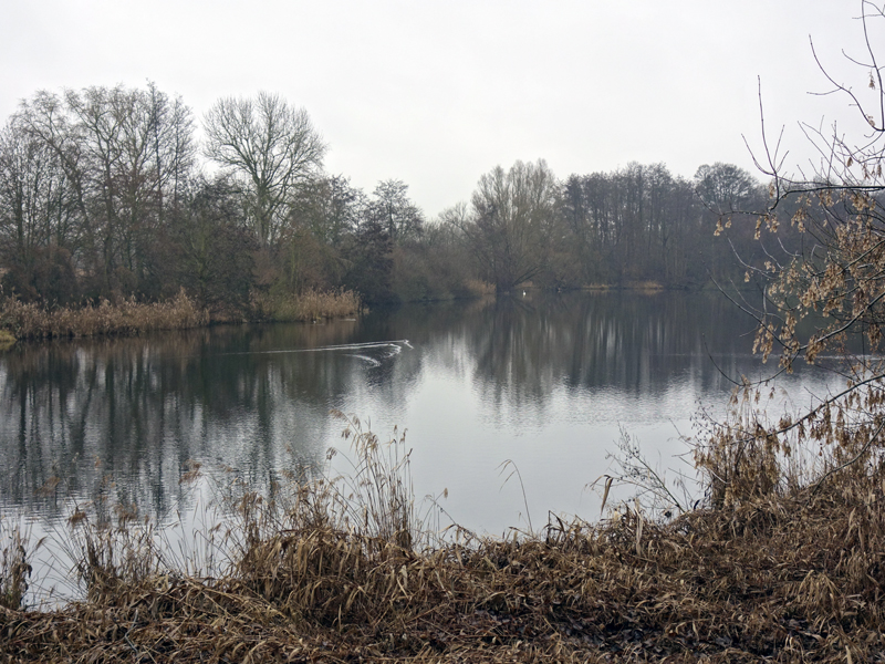 Bildergalerie „Naturschutzgebiet Karower Teiche“ Seniorenbeirat Telekom